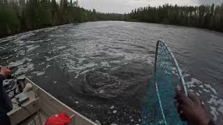 Jamaican up north Adventure in Northern Ontario #outdoors