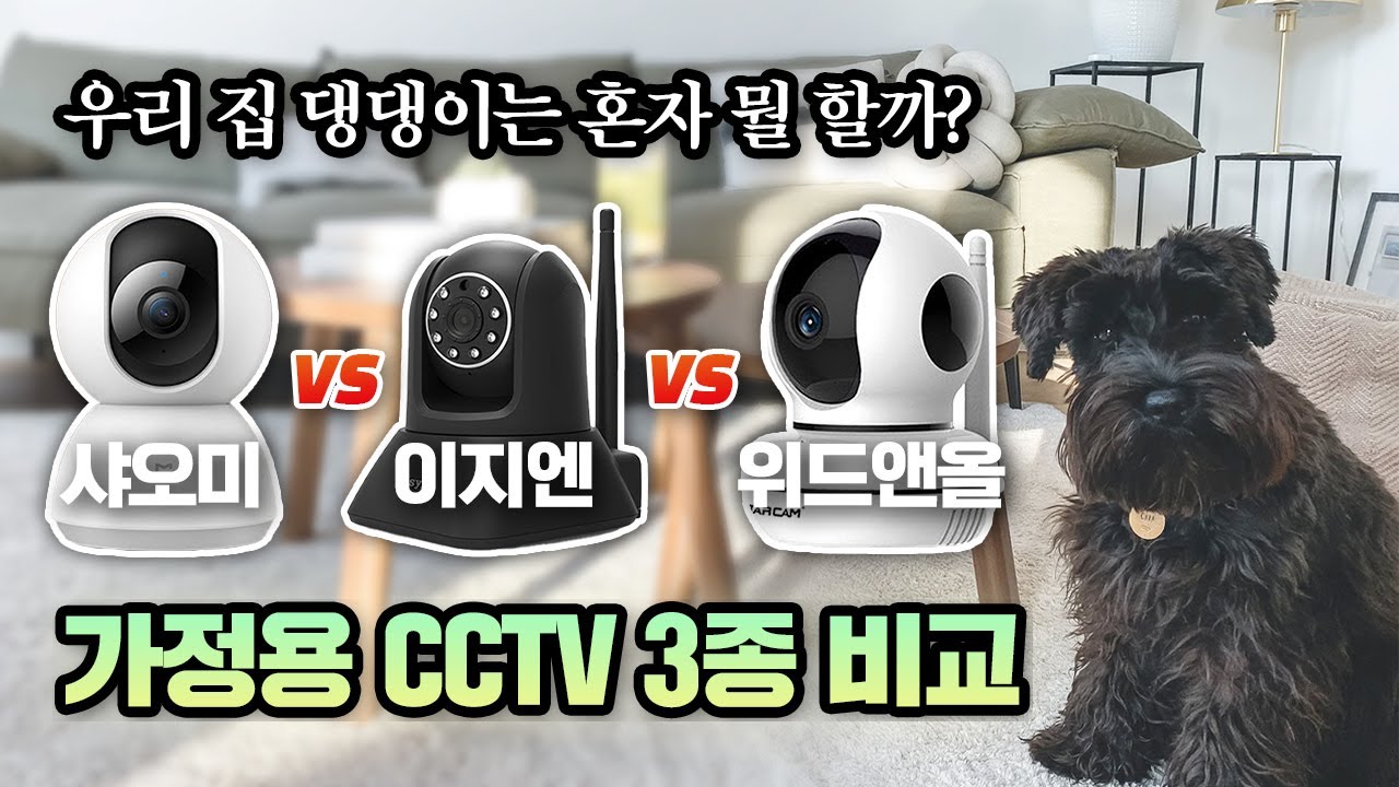 가정용 CCTV 3종 성능 비교, 최고의 가성비 제품은? (샤오미,이지캠,브이스타캠)