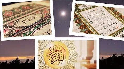 سورة البقرة بصوت رضا عبد المحسن تلاوة رائعة جدا