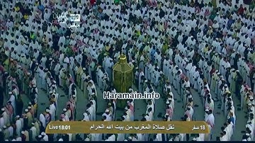 سورة الضحى | ١ - ١١ | صالح آل طالب