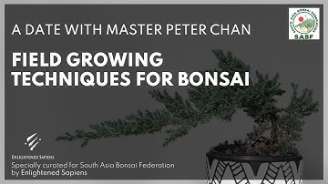 Bonsai Field Growing Techniques by Master Peter Chan