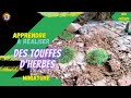 Comment raliser des touffes dherbes pour un village de nol tuto