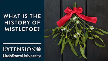 What is the History of Mistletoe?