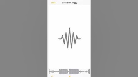 BIA & Iggy Azalea - Cookie (Snippet)