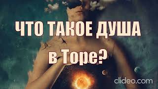 «1096» 3 Кто или Что такое Душа   «Анна и Александр Старцы» Беларусь «17.09.2026г»