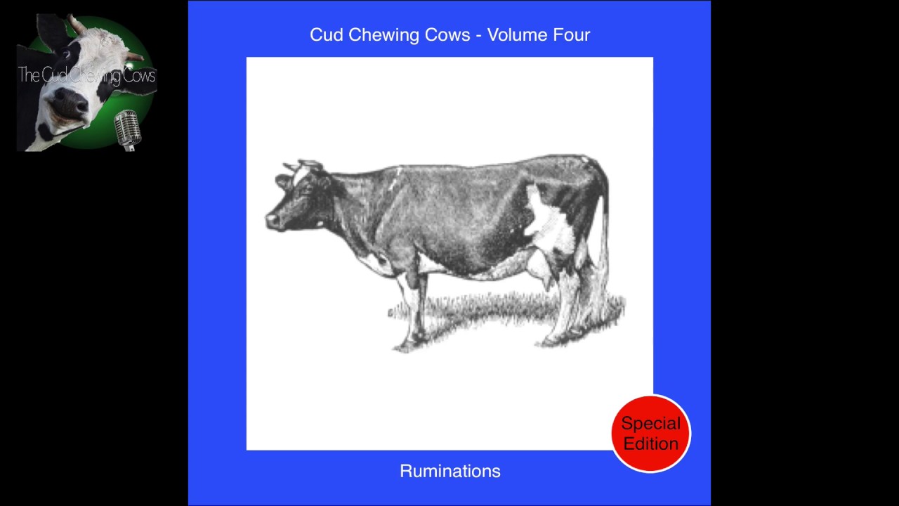 Track 10: “Didem" from "Volume 4 - Ruminations" by "The Cud Chewing Cows" (sample)