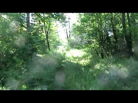 Первый выезд после