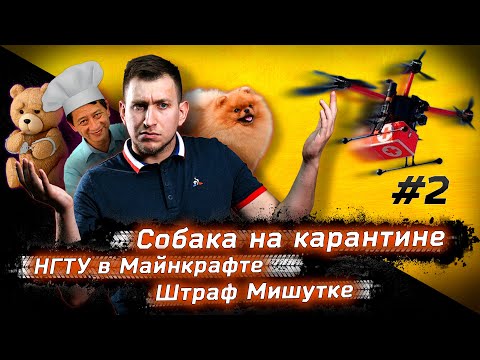 Что произошло в Сибири. Выпуск #2