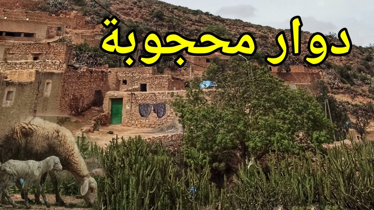 اجواء الطبيعة وهدوء دوار محجوبة شويحية جبال نواحي بركان  la campagne au maroc
