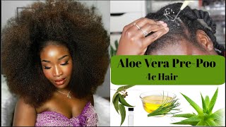 DIY Aloe Vera Pre Poo | For Dry, Thin 4C hair | Promotes Growth!