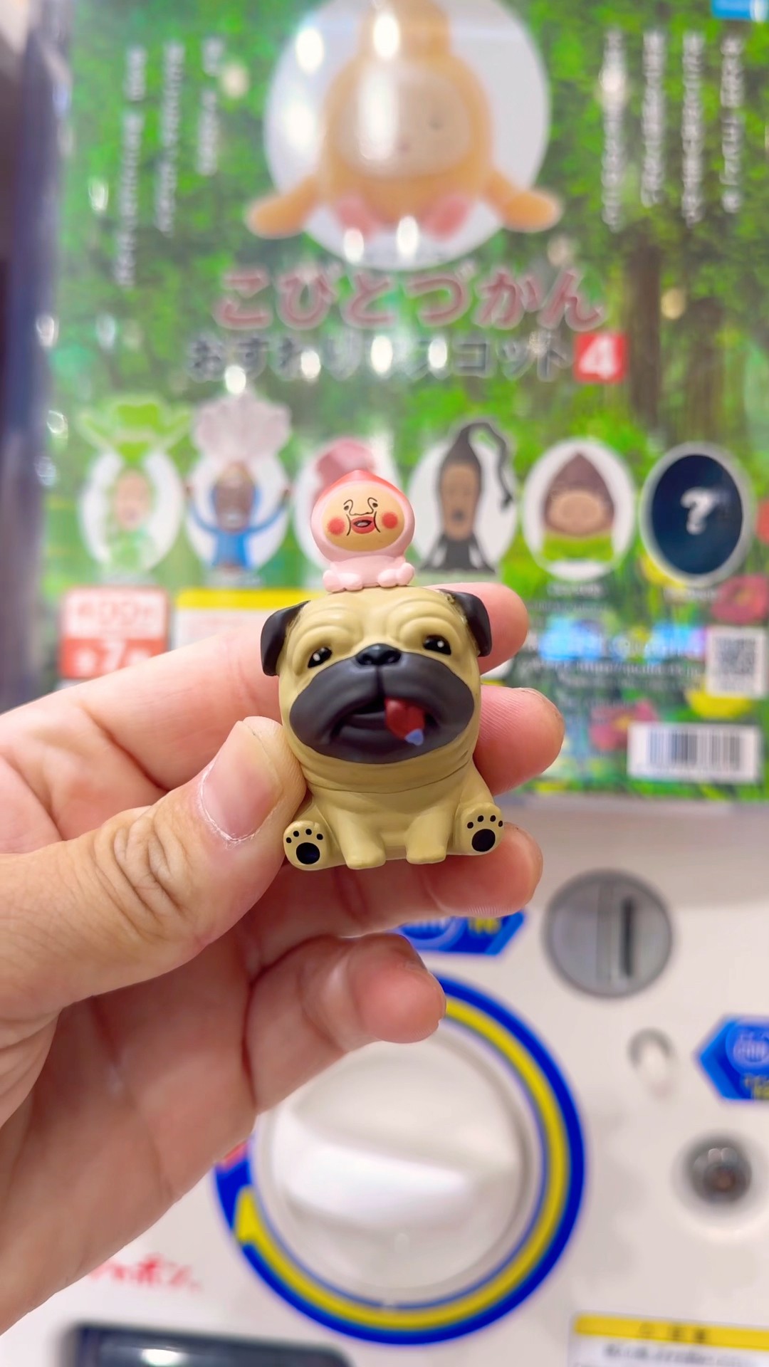 Kobito Zukan Sitting Mascot 4 Secret Revealed #KobitoZukan