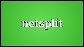 Netsplit Meaning
