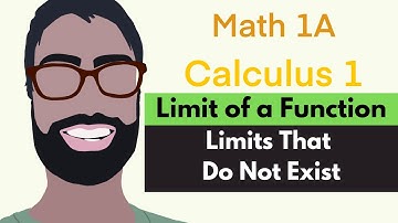 2.2 Limit of a Function | Video 3 - Limits That Do Not Exist || Calculus 1