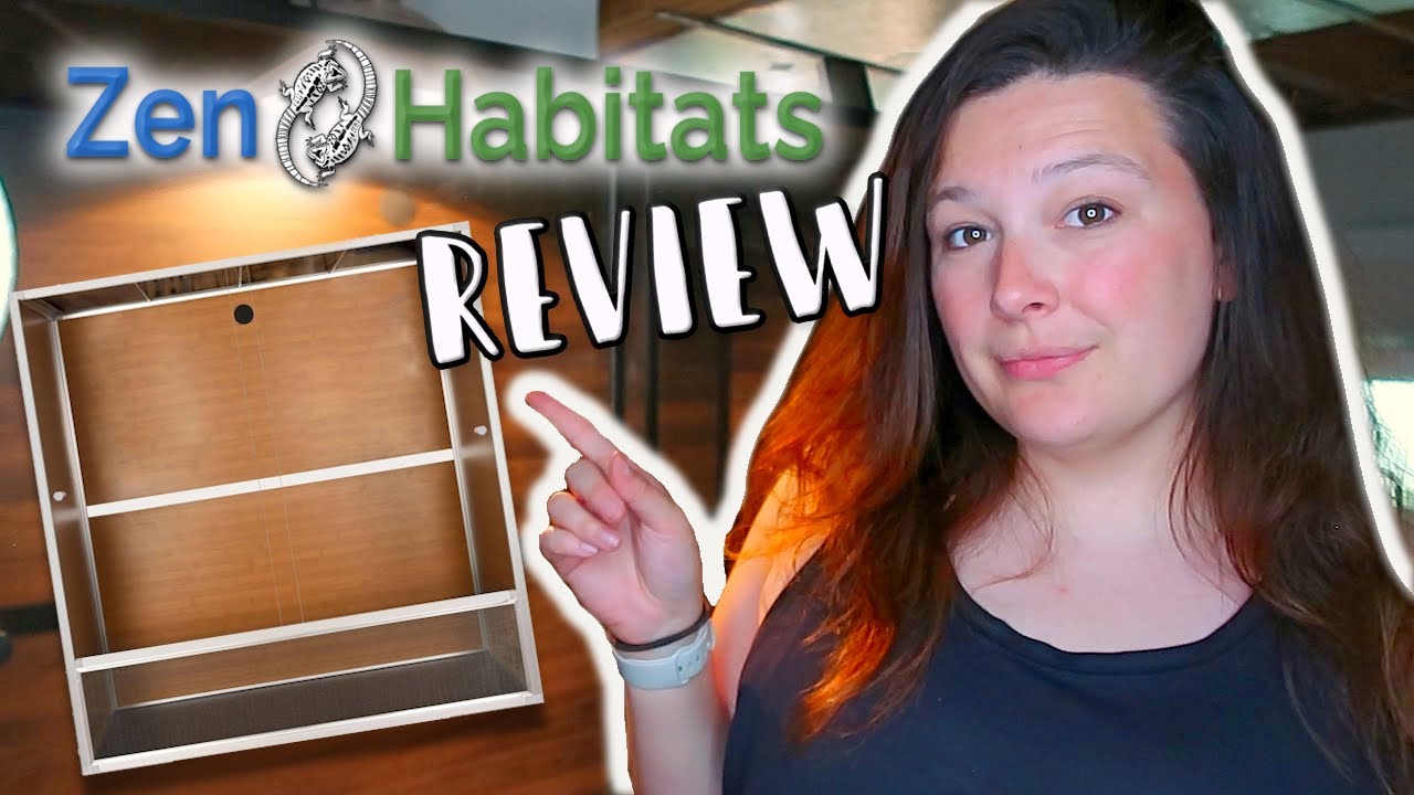 Строительство и обзор террариума для рептилий Zen Habitats размером 4x2x4