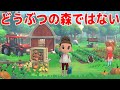 めっちゃどうぶつの森に似てるやべぇゲーム Hokko Life