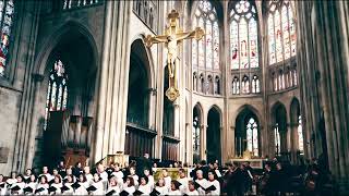 HEAVENLY CHANT: "Caelestis Lux" (Young Children Choir & String Pads) | 432Hz
