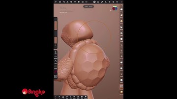 Nomad Sculpt: Turtle Turtle!