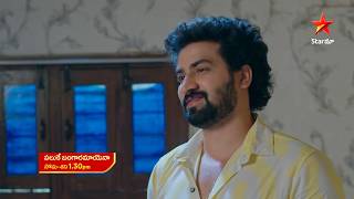 Paluke Bangaramayena - Promo | 3rd Jul 2026 | Mon - Sat at 1:30 PM | Star Maa Serials | Star Maa screenshot 4