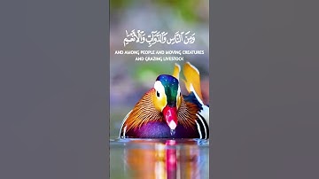 تلاوة من سورة فاطر