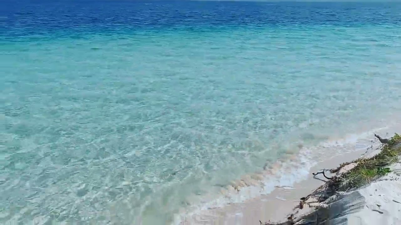 Witnessing the beauty... 