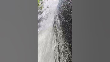 Thumbnail of so beautiful 😍 waterfall #check the view natural beauty # #bollywood #song youtube shorts video #