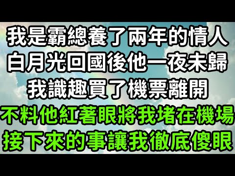 我是霸總養了兩年的情人，白月光回國後他一夜未歸，我識趣買了機票離開，不料他紅著眼將我堵在機場，接下來的事讓我徹底傻眼！#枫林晚霞#中老年幸福人生#為人處世#生活經驗#情感故事#花开富贵