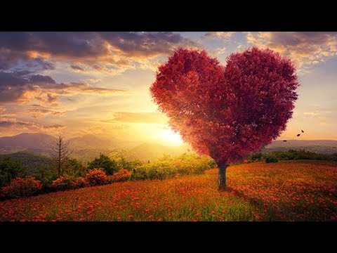 Find Your Soulmate Meditation, Attract Love Affirmation, Subliminal Affirmations