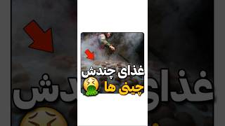 غذای حال بهم زن که در چین درست میشه!🤮