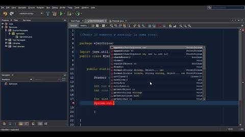 Pedir y sumar 15 números en Java | ejercicio 2