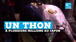 Un thon vendu 2,7 millions d'euros aux enchères au Japon