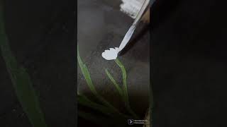 Painting Jelly Paintings