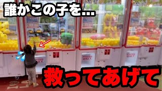 236th person] A boy who won't leave the crane game table