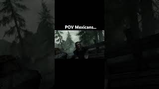 Maybe… maybe not… #funny #slightlybased #based #skyrim #mexicanpov