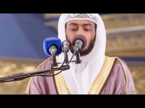 القارئ احمد النفيس من سورة يس وءاية لهم الأرض الميتة أحييناها 1