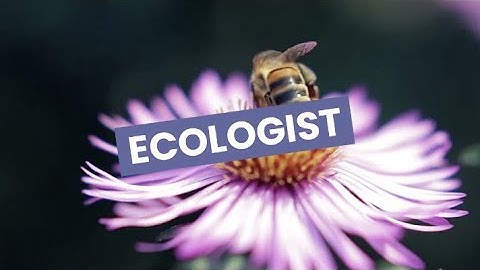 Discover Careers: Ecologist | Sortyourfuture