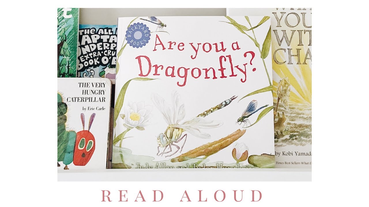 Are You a Dragonfly Read Aloud YouTube