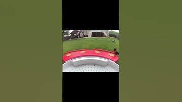 hummingbirds visit.#birdwatching #netvuebirdfy #birdfy #hummingbird