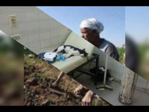 أحلامهم البسيطة بتجرى ورا السراب مدحت صالح