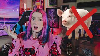 Athlete Statistics Mini pigs DO NOT exist: the lie the internet still believes