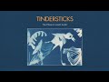 Tindersticks - You'll have to scream louder (Official Audio)