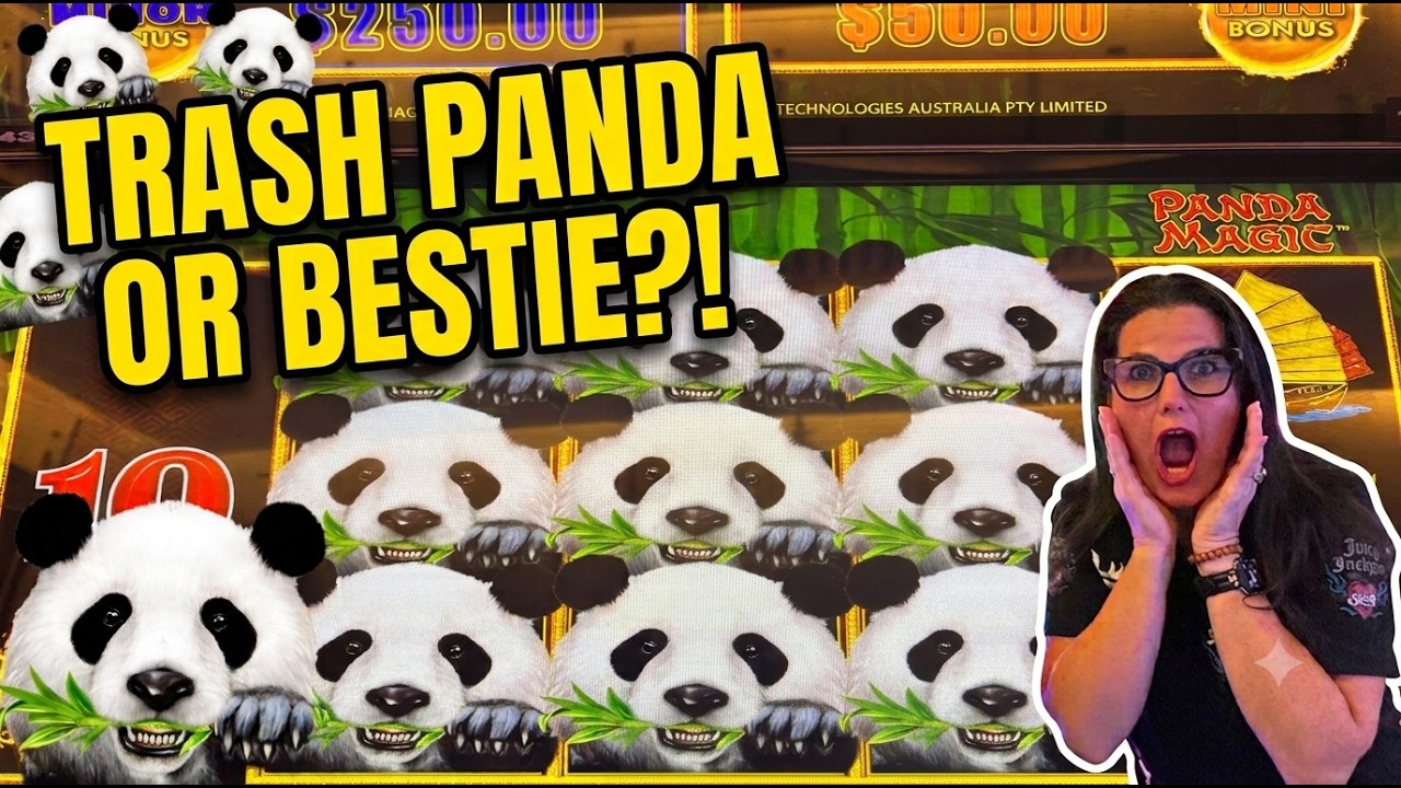 The Pandas Shocked Us! 😲 High Limit Dragon Link Panda Magic