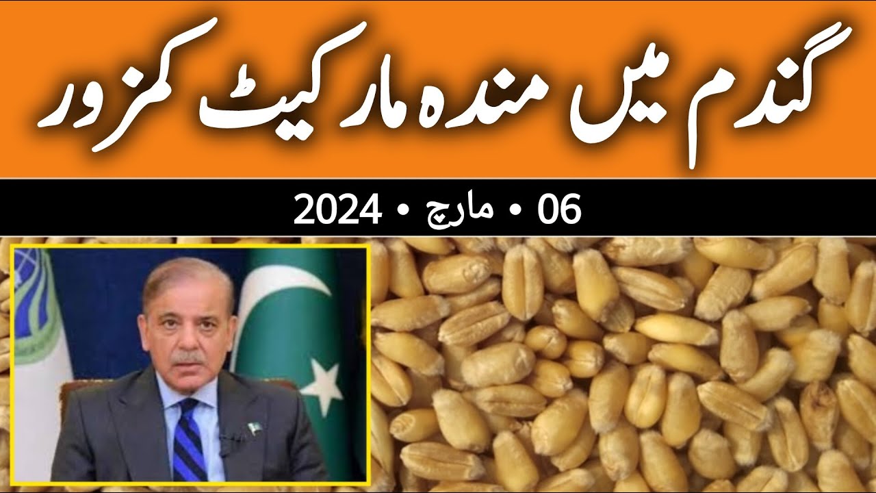 New wheat price today 2024 | Wheat rate today | Gandam new rate today ...