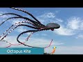 Cool kites You've never seen before with footage - UTTRAYAN Special... by ITOPINGS