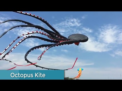Download Cool kites You've never seen before with footage - UTTRAYAN Special... by ITOPINGS