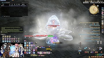 ffxiv 5.1 blm E4S dummy 17279 special rotation