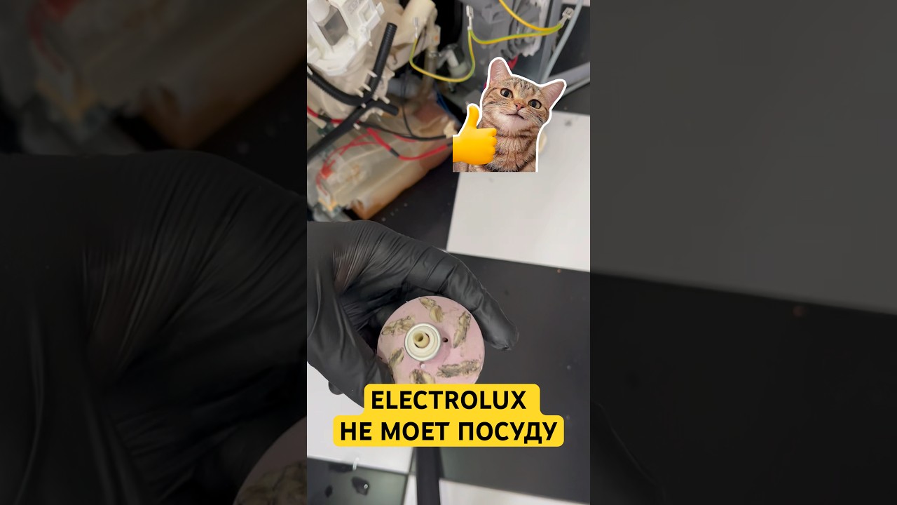 Electrolux не моет посуду, в системе нет давления воды. #diy #посудомойка #ремонтбытовойтехники #top