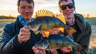 RIVER PERCH FISHING! We caught so many!