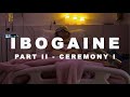 MY IBOGA JOURNEY - Pt.2 / First Ceremony