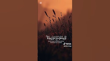 #المصحف #تلاوة_خاشعة #الرحمن #اكسبلور #اللهم_عجل_لوليك_الفرج #تيك_توك #قرآن #اجر