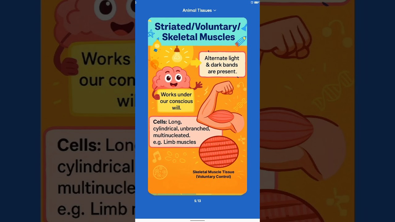 class 9 subject biology animal tissue quick revision with flash cards.......